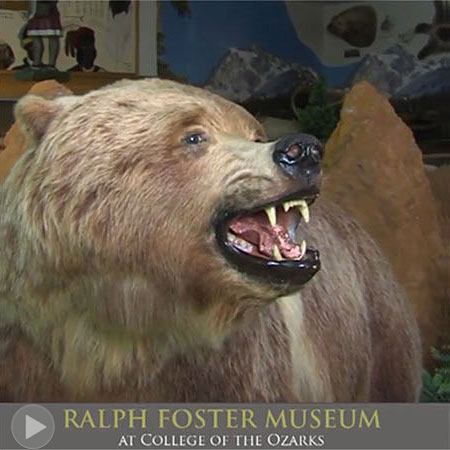RalphFosterMuseumVideoPlay